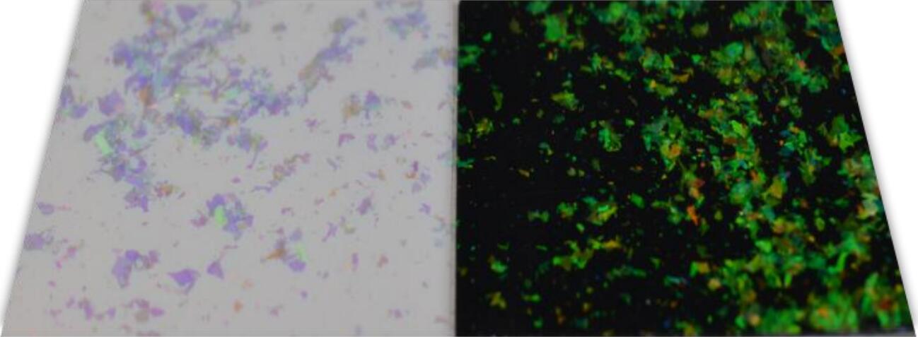 TS-11 Optically variable pigment/ink Orange Red-Green 200-300μm-HiBlueStar